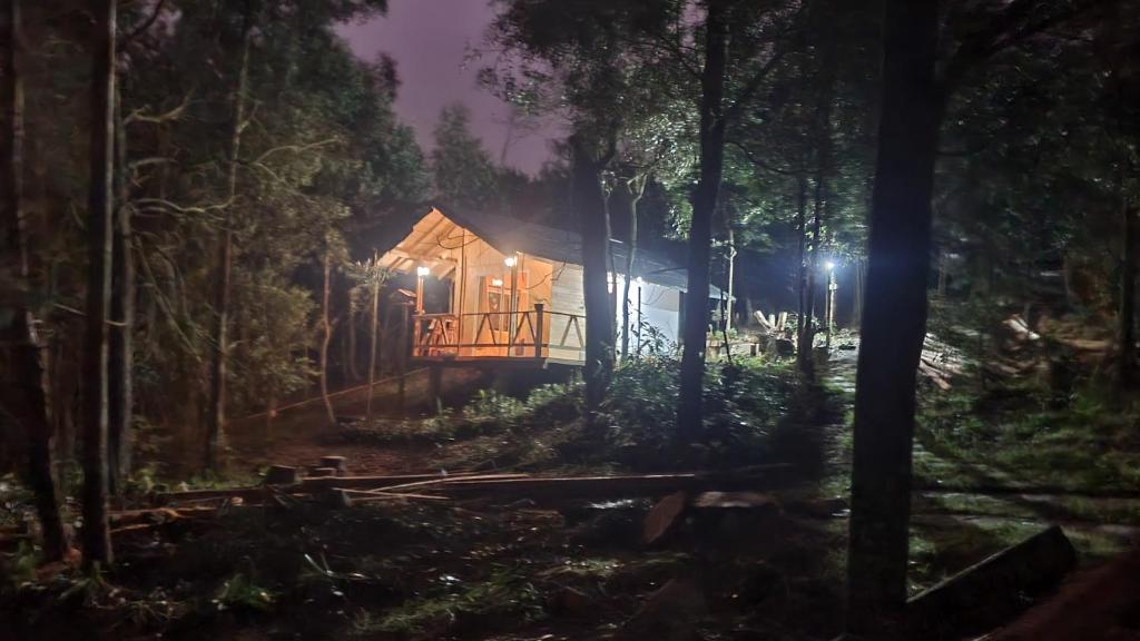 Příroda nedaleko apartmánu