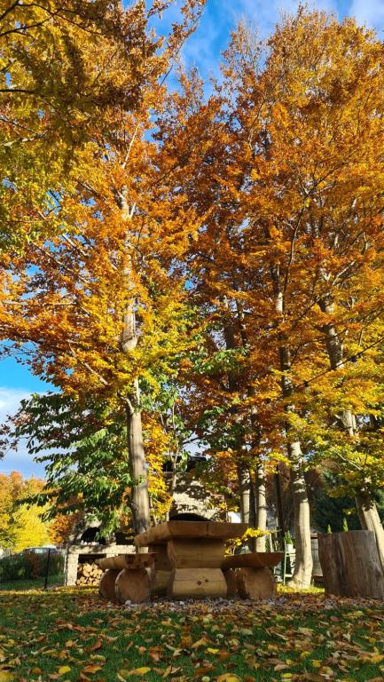 B&B Plitvice Holiday Lodge - 11