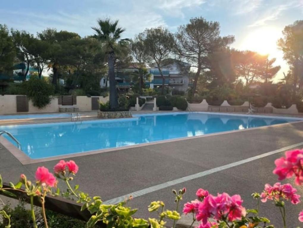 Fotografia z galérie ubytovania Charmant 73m² piscine parking v destinácii Saint-Raphaël