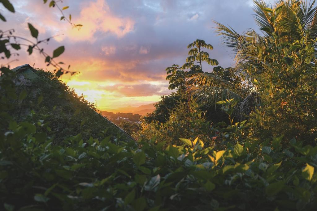 un coucher de soleil dans la jungle avec des arbres et des buissons dans l'établissement Estación Biológica Agualí, à Matagalpa