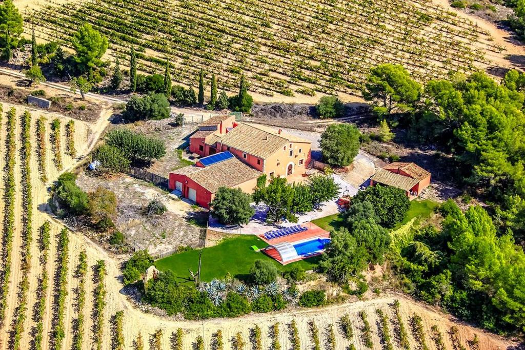 an aerial view of a house in a vineyard at Catalunya Casas Country Chateau for 22 persons - close to Sitges! in Les Masuques