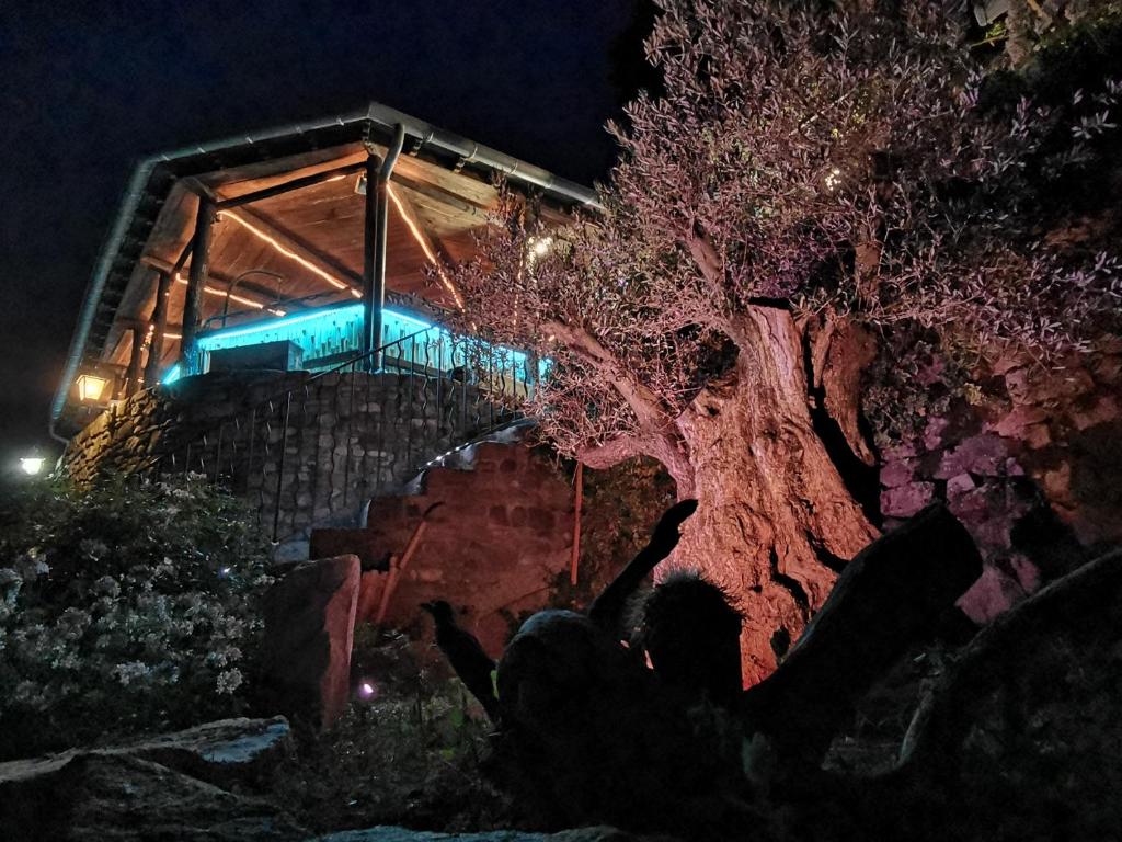 Zahrada ubytování Le Moulin du Temps -chambres et lounge bar au bord de la rivière