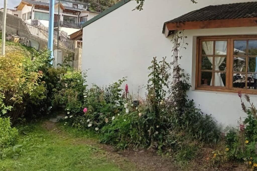 un jardín junto a una casa blanca con ventana en Casa Towwora en Ushuaia