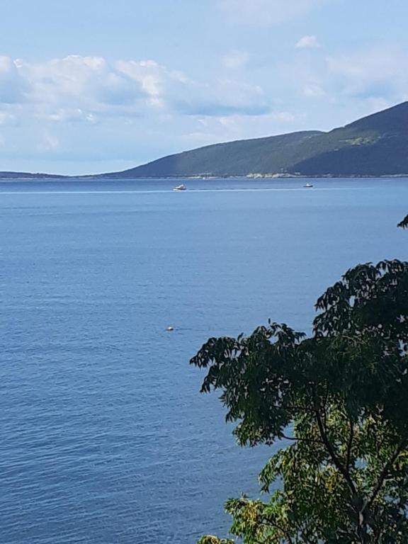 a view of a large body of water at Guest House Cvoro in Herceg-Novi