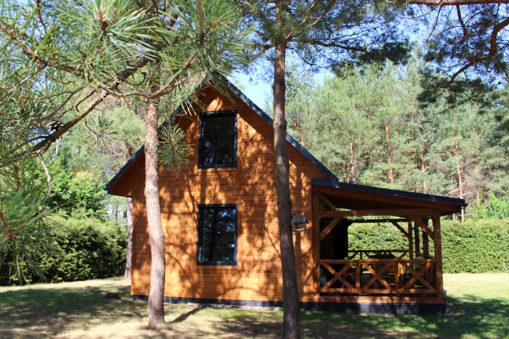a log cabin in the woods with trees at Między Sosnami in Pasym