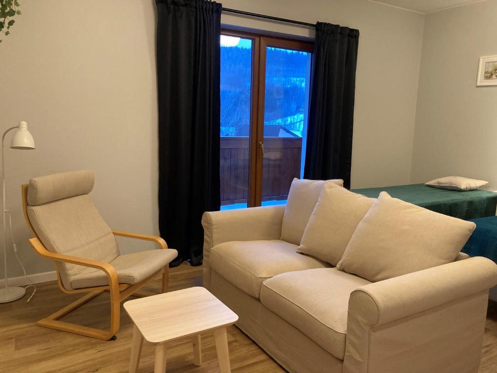 Apartamenty Black Lion - 16