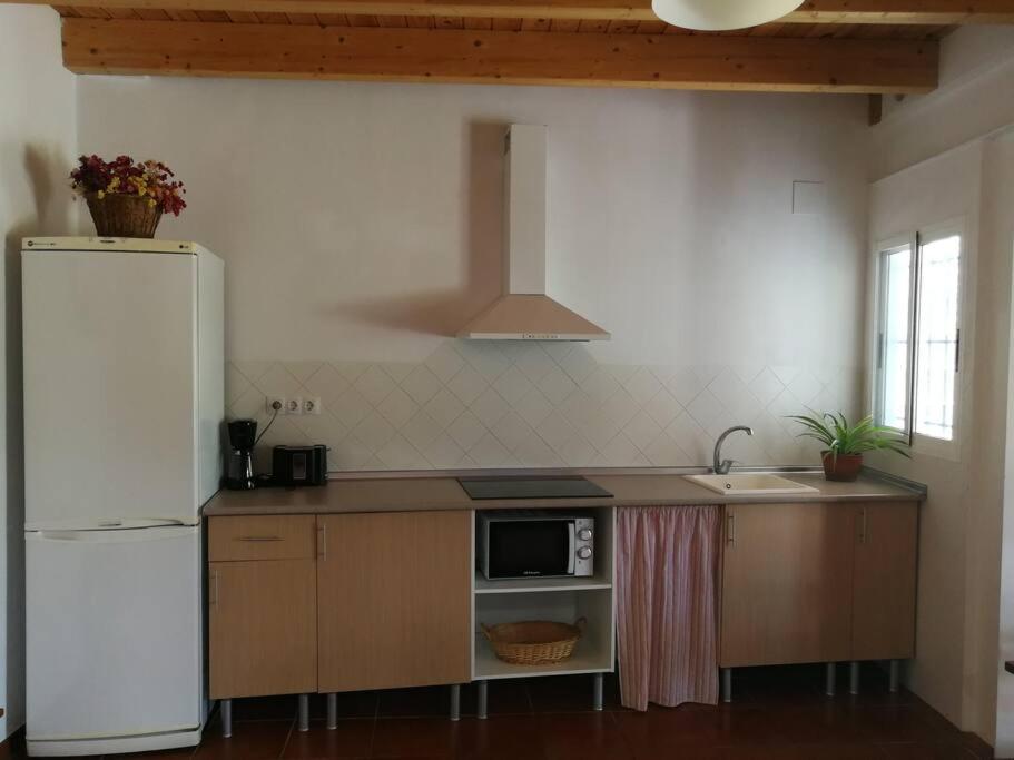 een keuken met een witte koelkast en een wastafel bij Casa La Higuera in Chulilla