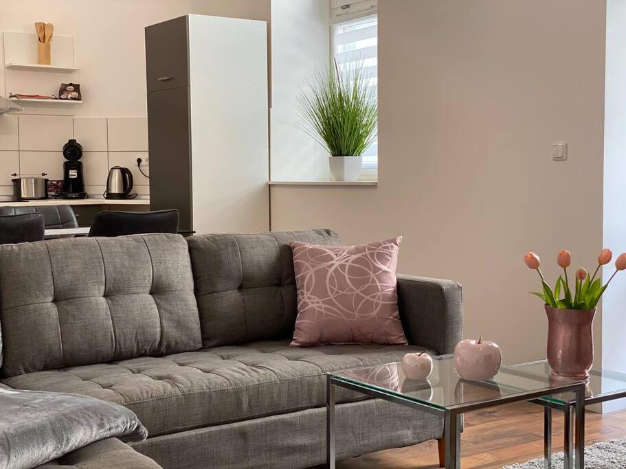AKK3 Apartment Magdeburg Altstadt Zentral Balkon - Housity