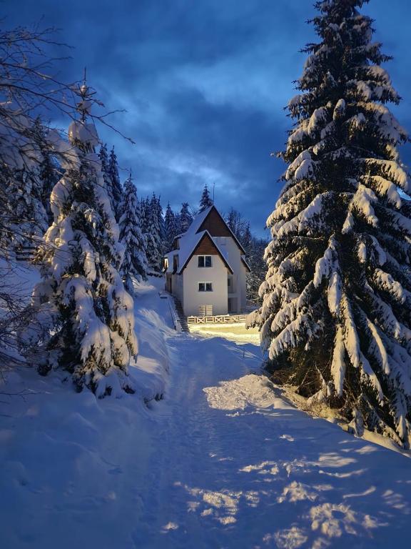 a house in the snow with a snow covered tree at Kod Strica in Kopaonik