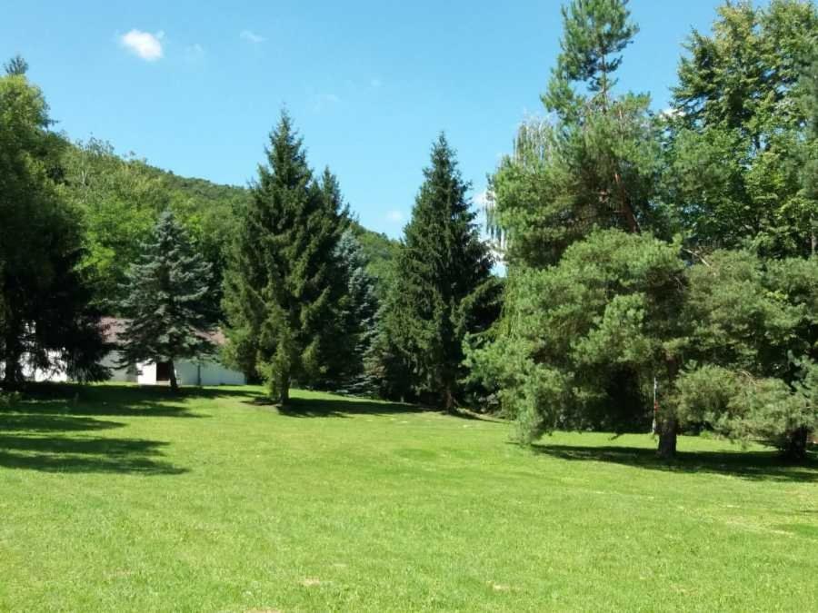 Príroda v okolí kempingu