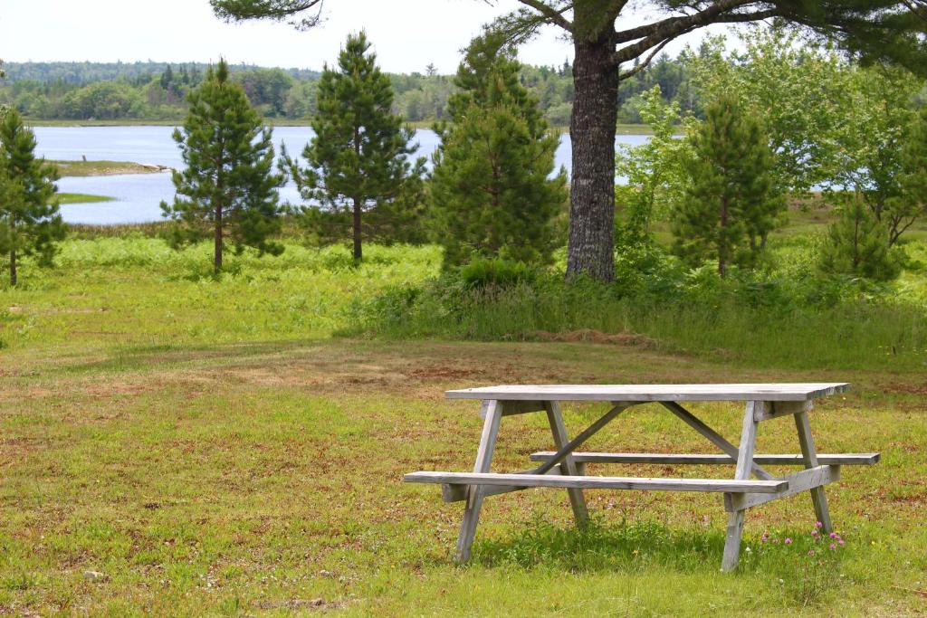 a picnic table sitting in the grass near a lake at 1 and Only Riverside Accommodations in Sable River