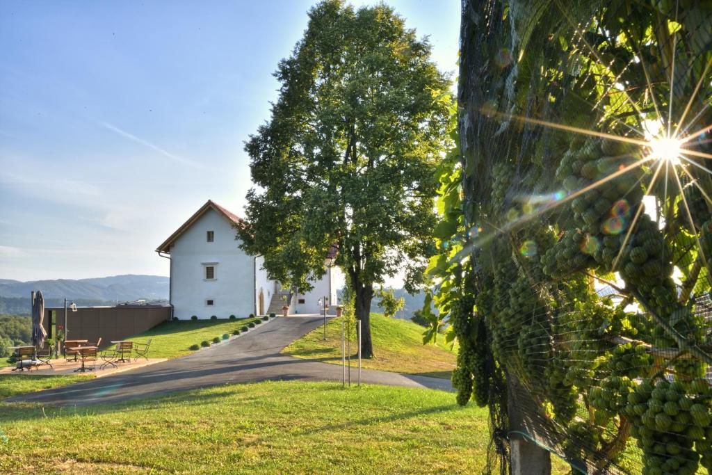 Příroda nedaleko bed and breakfast