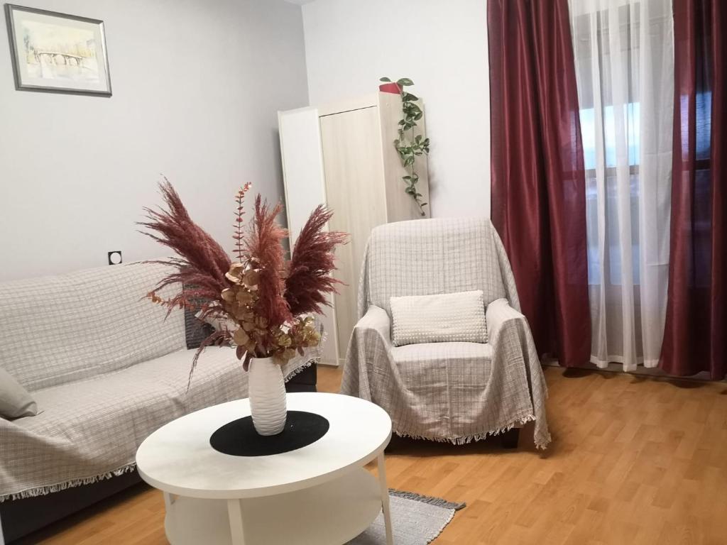 Zoro Apartment