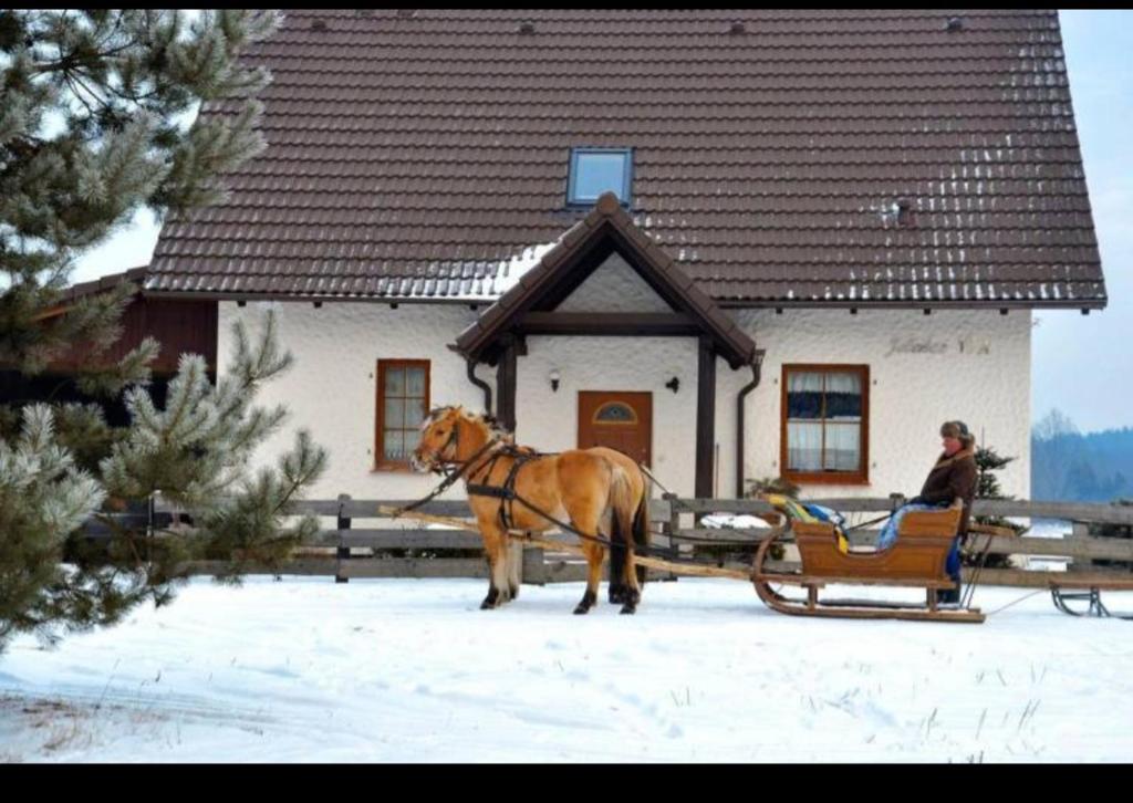 a horse pulling a sleigh in front of a house at Dom w sercu Kaszub in Parchowo