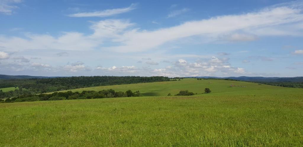 Příroda nedaleko farmy