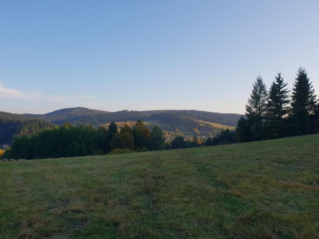 Příroda nedaleko farmy