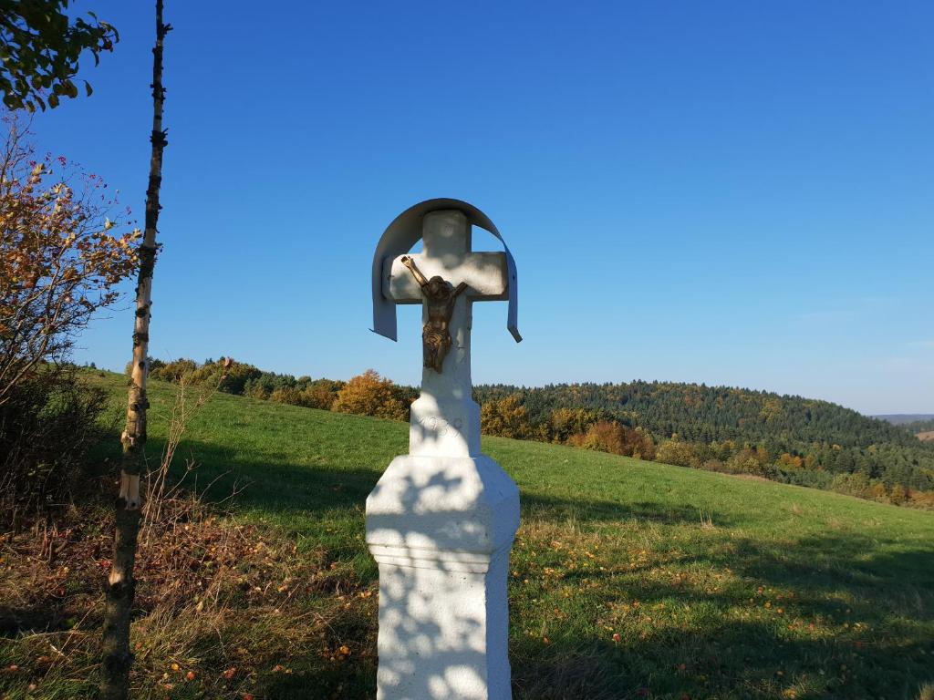 Příroda nedaleko farmy