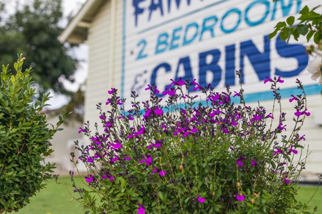 a sign with purple flowers in front of a building at Golfers Inn in Tenterfield