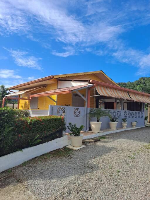 Maison Créole T2 : La kaz à thé - Housity