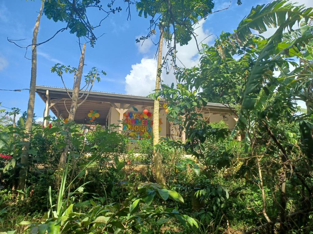 une maison au milieu de la jungle dans l'établissement Maison de campagne, rando, rivière, plage, à Sainte-Rose