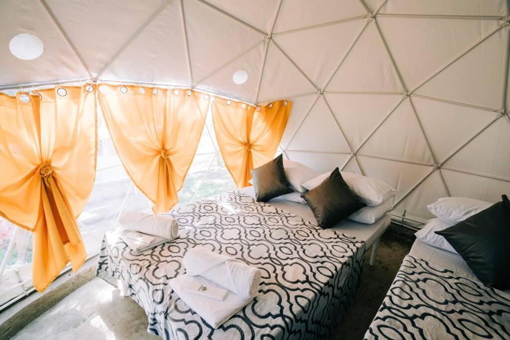 Luxurious Lakeside Dome Glamping Retreat