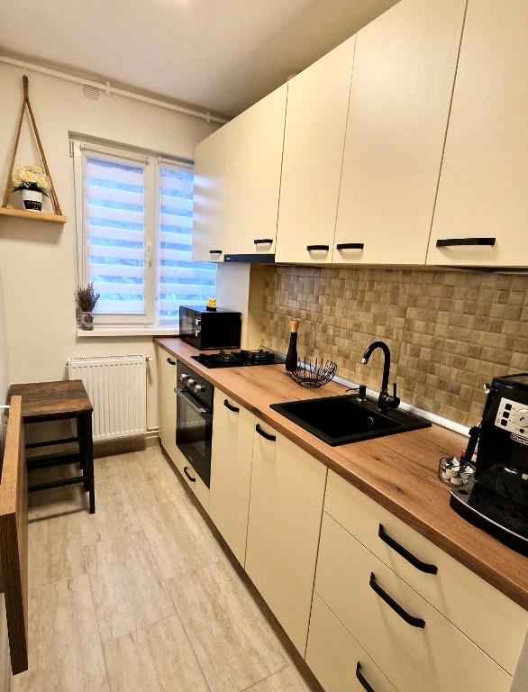 Kuchyň nebo kuchyňský kout v ubytování Apartamentul GAVIOTA