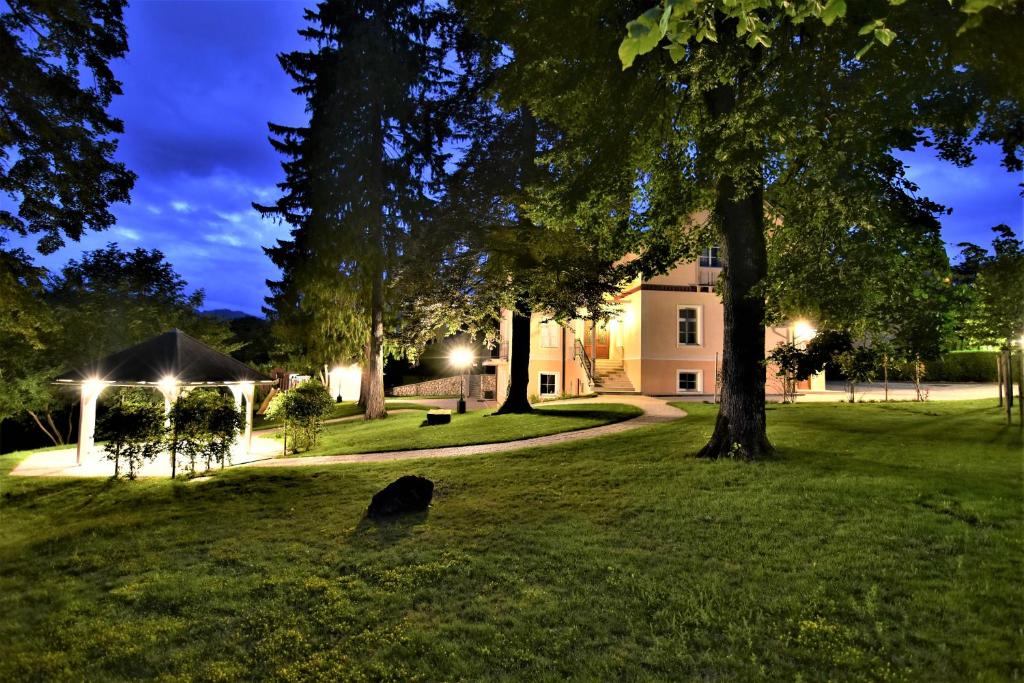 a dog sitting in the grass in a park at night at Vila Ključe Apartments in Bled