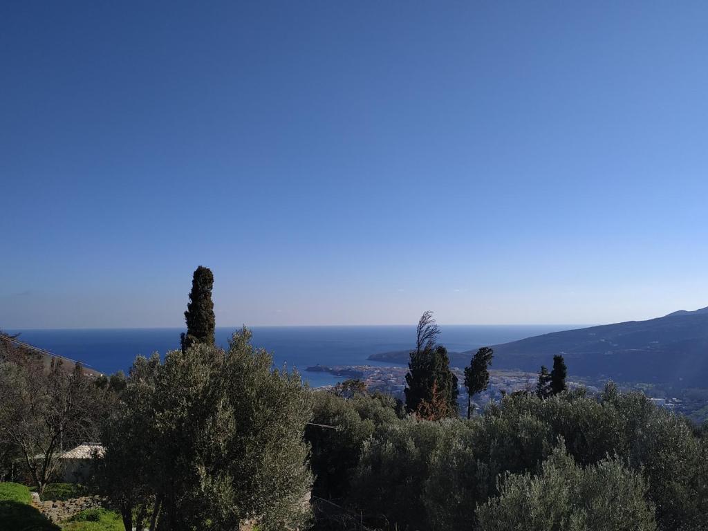 a view of the ocean from a hill with trees at Pure Nature House in Andros