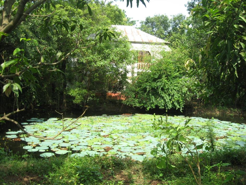 Heritage Home