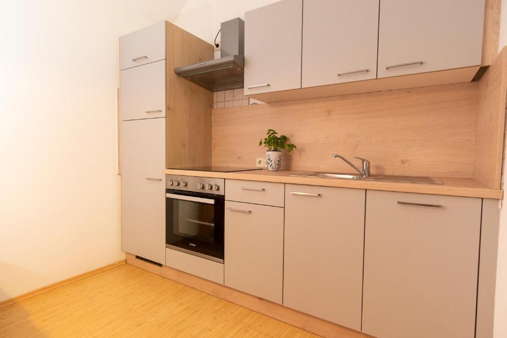 Kuchyň nebo kuchyňský kout v ubytování Landhaus Rainer