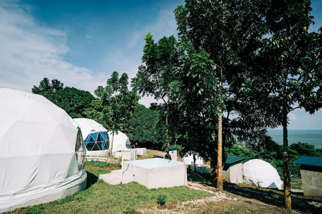 a group of tents in the grass next to a tree at Family Fun Dome Glamping with Hotspring Pool (6 pax) in Lubo