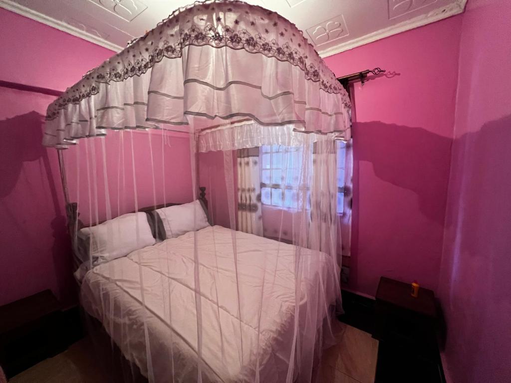 Caroline’s property في Oyugis: غرفة نوم مع سرير المظلة البيضاء مع جدران وردية