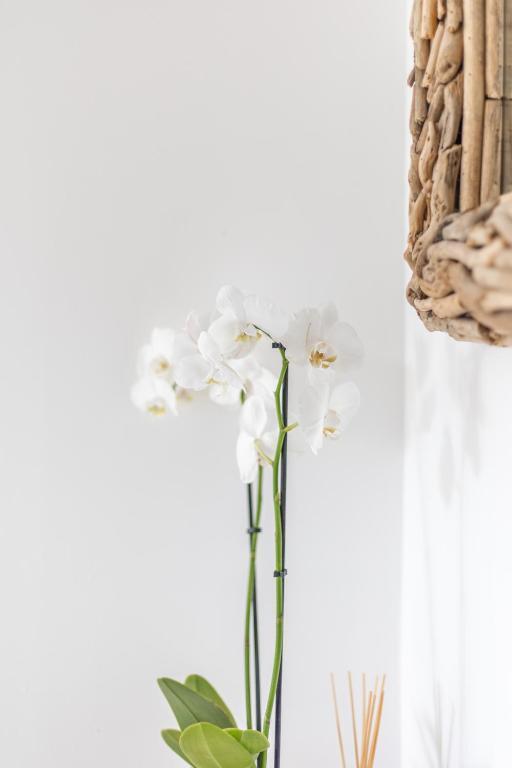 a vase with white flowers in a room at Lakeside Old Hunstanton in Hunstanton
