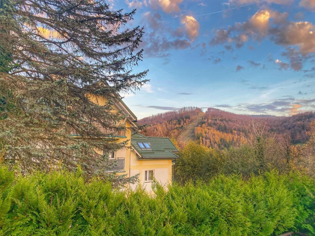 una casa amarilla en medio de un bosque en Apartamenty Siódemka Ustroń en Ustroń