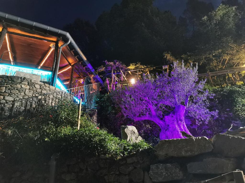 Zahrada ubytování Le Moulin du Temps -chambres et lounge bar au bord de la rivière