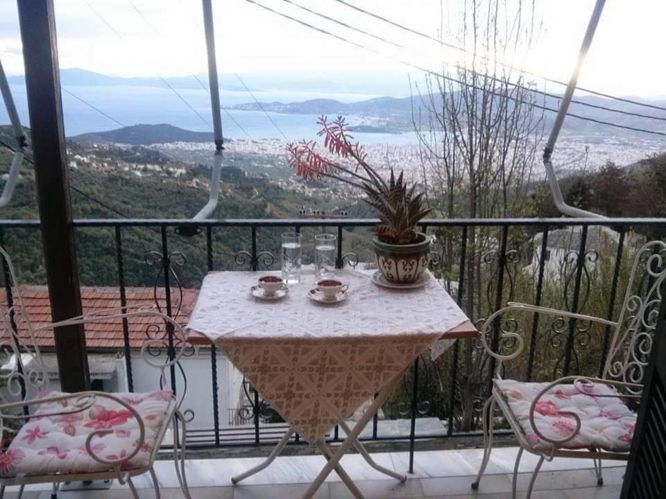 una mesa con una maceta en el balcón en Διαμέρισμα Αγγελική, en Makrinitsa