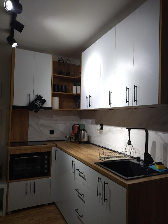 Kuchyň nebo kuchyňský kout v ubytování Apartman Element