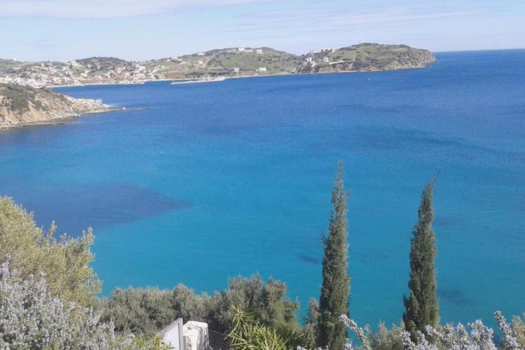 Príroda v okolí vily