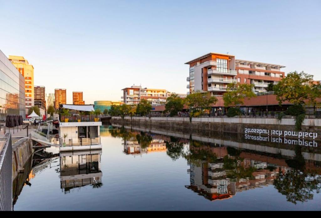 a river in a city with buildings and buildings at Appartement haut standing F2 Rivetoile Strasbourg centre parking gratuit terrasse in Strasbourg