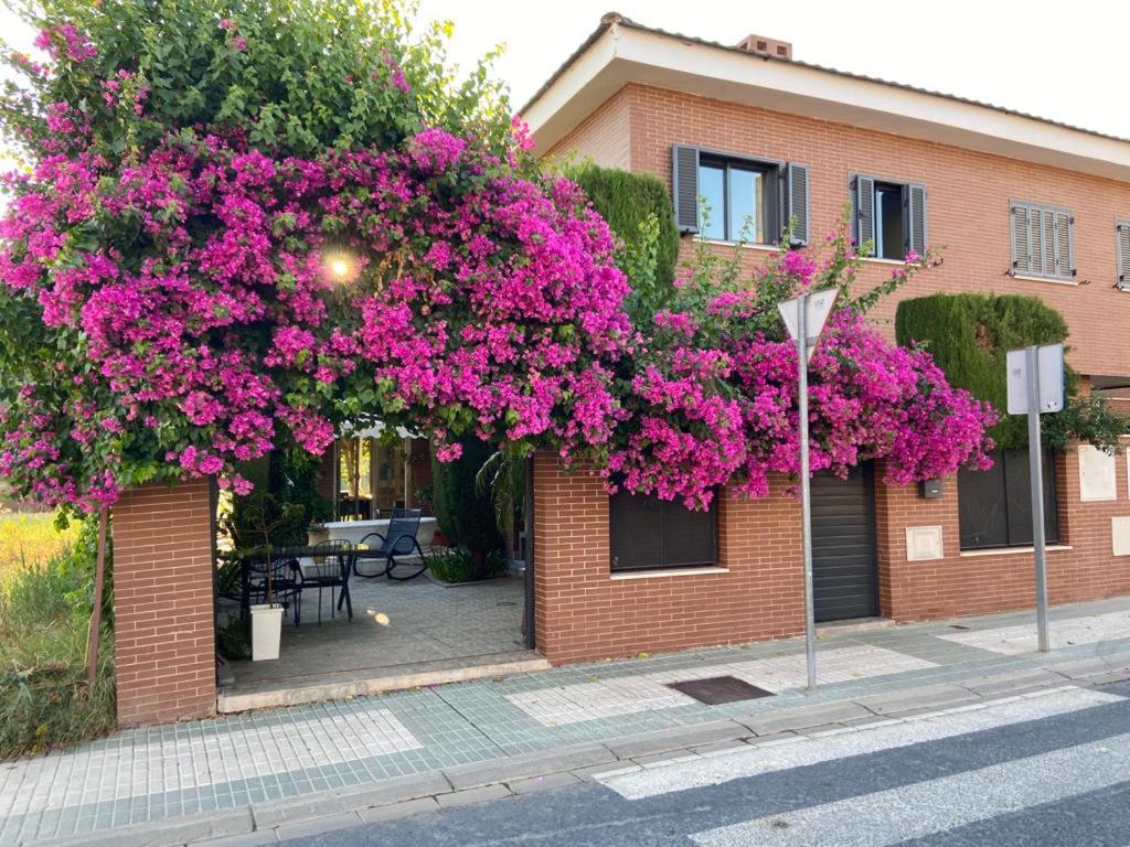 サン・ファン・デ・アスナルファラチェにあるPaz y tranquilidad, a un paso de Sevillaのピンクの花束