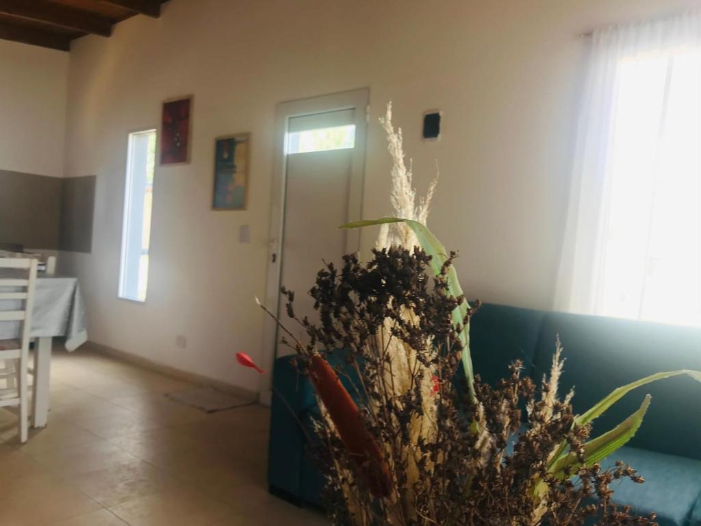 una sala de estar con un sofá azul con una planta en Casita en plottier en Plottier