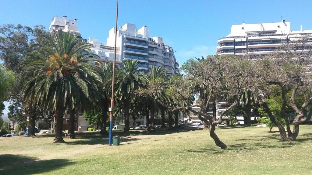 un parco con palme e edifici in una città di Parque Villa Biarritz a Montevideo