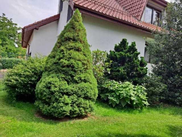 Fotografia z galérie ubytovania Apartamenty EverySky Kowary - Dom z 5 lub 7 sypialni v destinácii Kowary