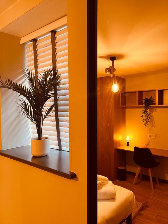 a room with a potted plant on a table at 'Woodbury' at stayBOOM in Lancaster