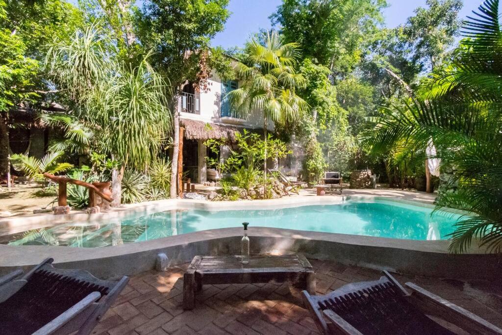 Photo from VerdeAmar Eco Lodge Jungle Retreat in Chemuyil, Quintana Roo, Mexico