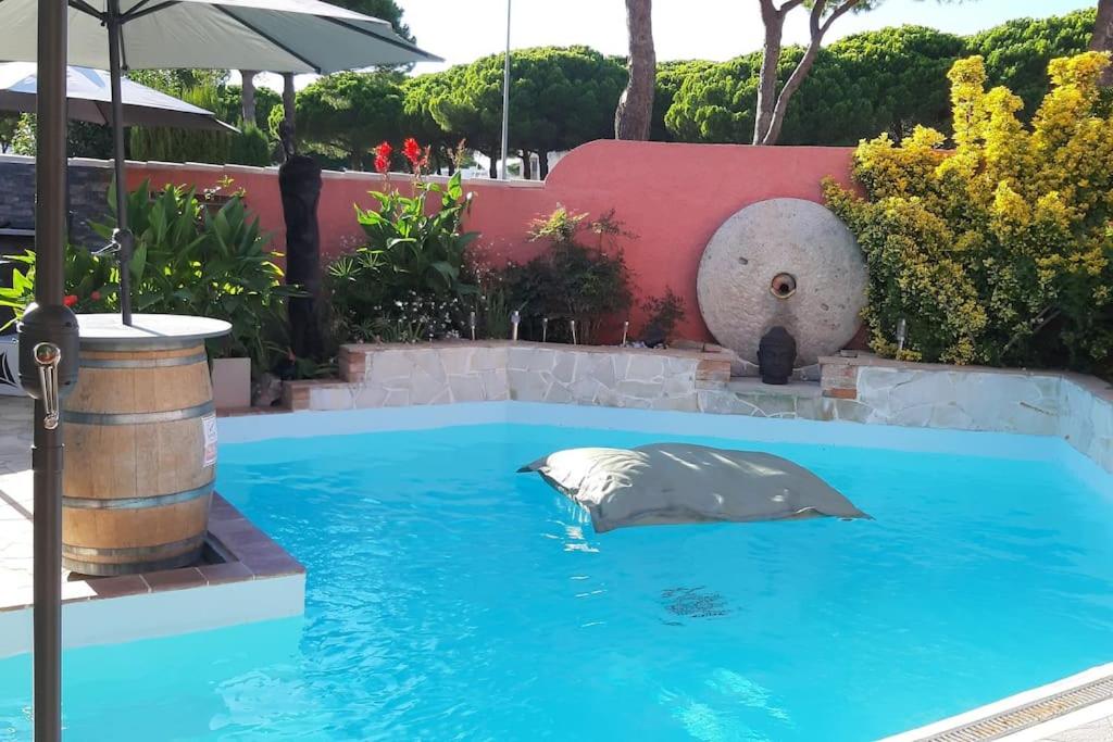 a dolphin in the water in a swimming pool at Hébergement insolite studio Grau du Roi Mas des Marines Piscine in Le Grau-du-Roi