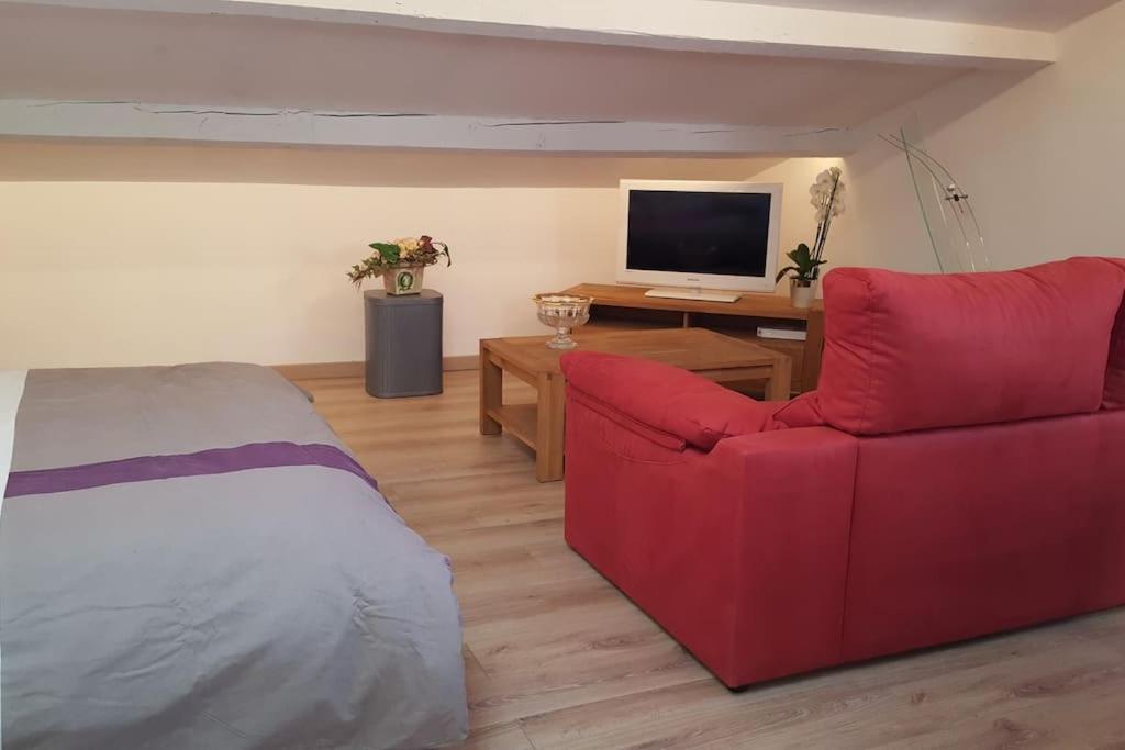 a living room with a red couch and a television at Hébergement insolite studio Grau du Roi Mas des Marines Piscine in Le Grau-du-Roi