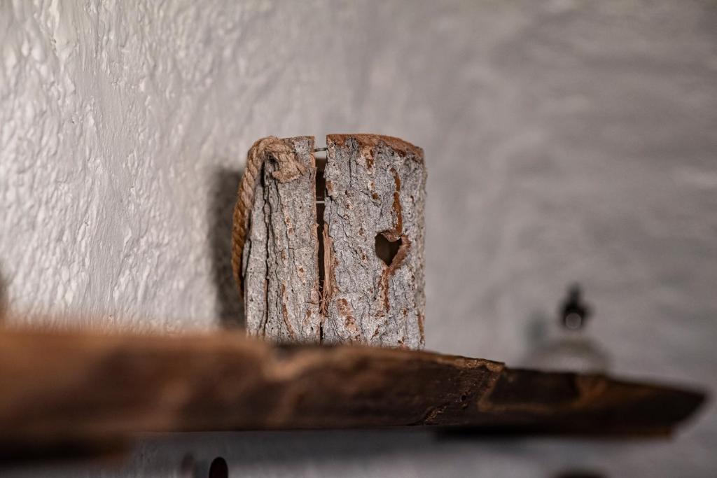 Fotografie z fotogalerie ubytování Agribenessere Agli Abatti v destinaci Barge