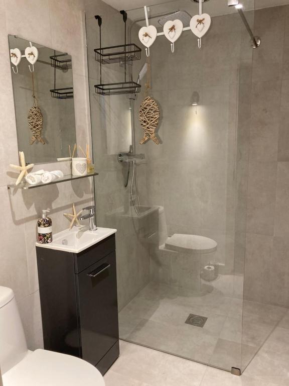 a bathroom with a shower and a toilet and a sink at The coach house in Grimston