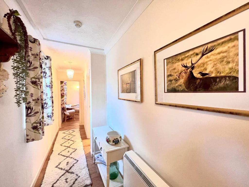 Fotografie z fotogalerie ubytování Passford House Hotel v destinaci Lymington
